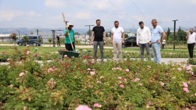 Başiskele Belediye Başkanı M. Yasin Özlü, ilçenin dört bir yanında