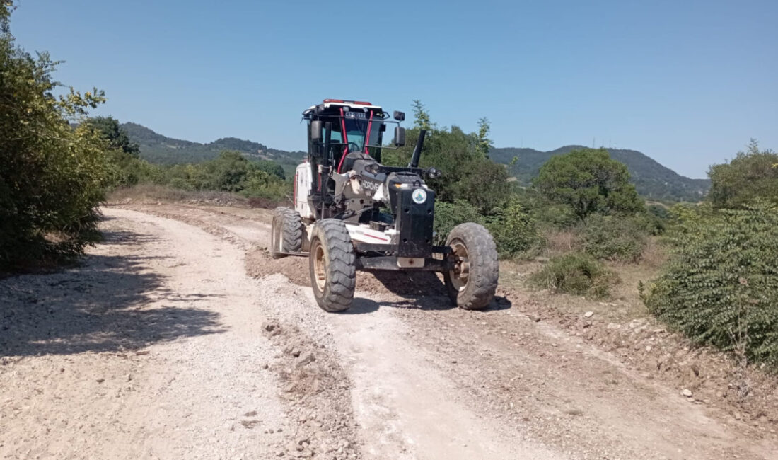Spot: Kandıra Belediyesi, yaklaşan 2026 fındık hasadı öncesinde üreticilerin tarım