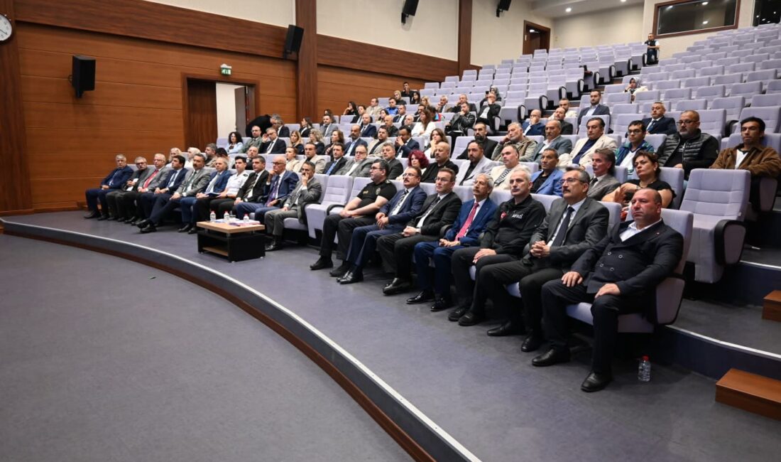 Roman Vatandaşlara Yönelik Strateji Belgesi (2023-2030) ve II. Aşama Eylem