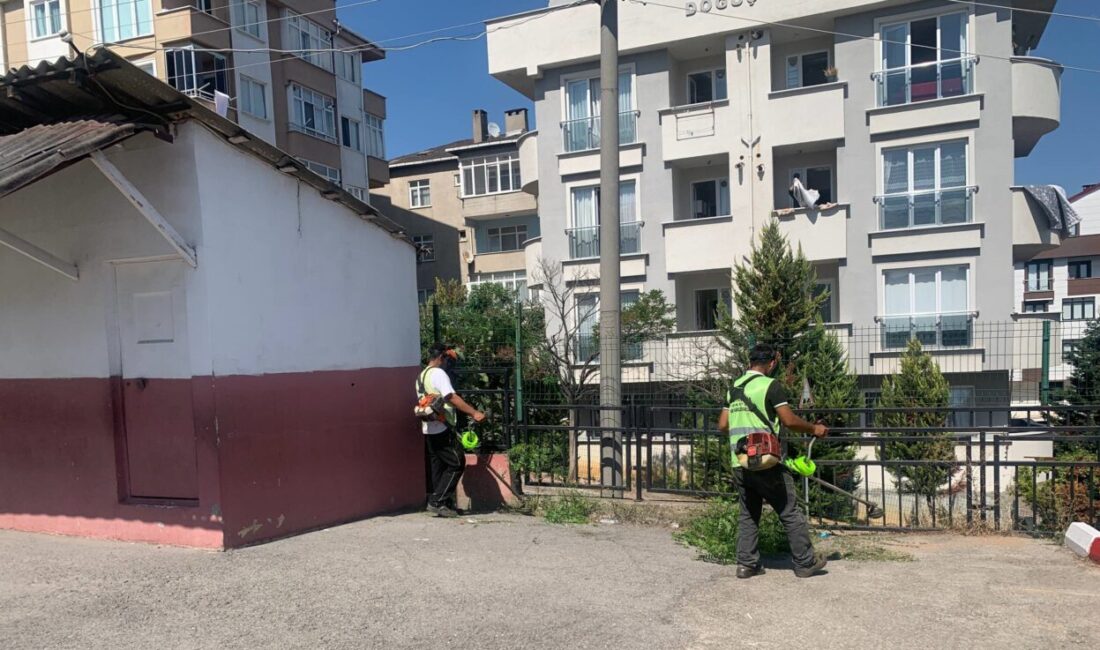 Çayırova Belediyesi Park ve Bahçeler Müdürlüğü’ne bağlı ekipler, yaklaşan eğitim-öğretim