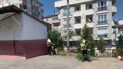 Çayırova Belediyesi Park ve Bahçeler Müdürlüğü’ne bağlı ekipler, yaklaşan eğitim-öğretim