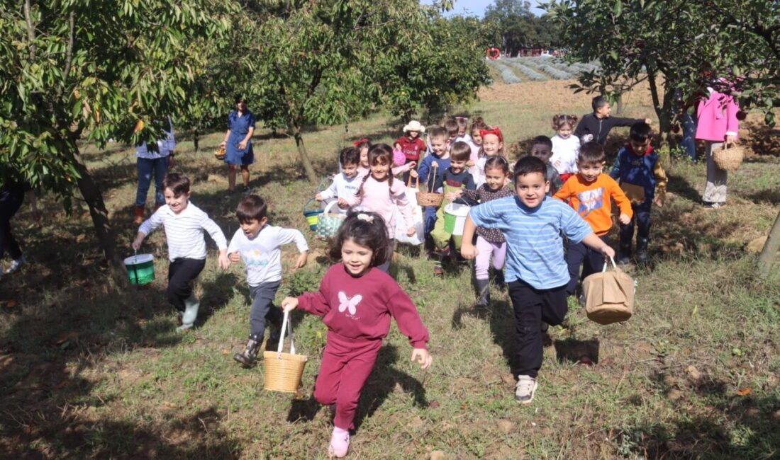 İzmit Belediyesi Çınar Çocuk Evi öğrencileri, Tarımsal Uygulama Bahçesi’nde elma,