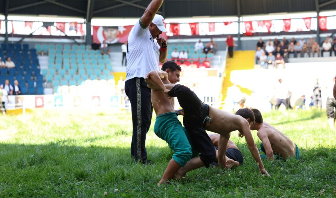 Derince Belediyesi'nin ev sahipliğinde 23'üncüsü gerçekleştirilen Taşköprü Hasat Sonu Festivali
