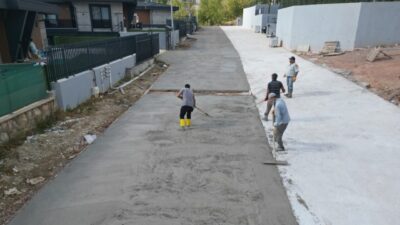 İzmit Belediyesi Fen İşleri Müdürlüğü, Kabaoğlu Mahallesi Malta Eriği Ağacı