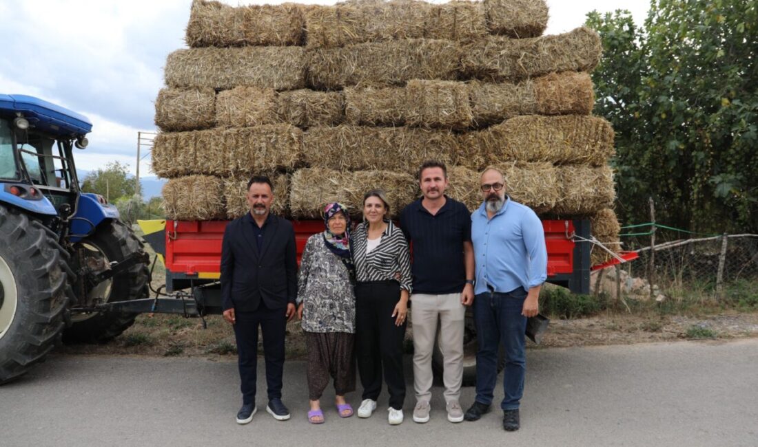 Yassıbağ ve Yenice mahallelerinde meydana gelen yangınlarda hayvanlarını, yem ve