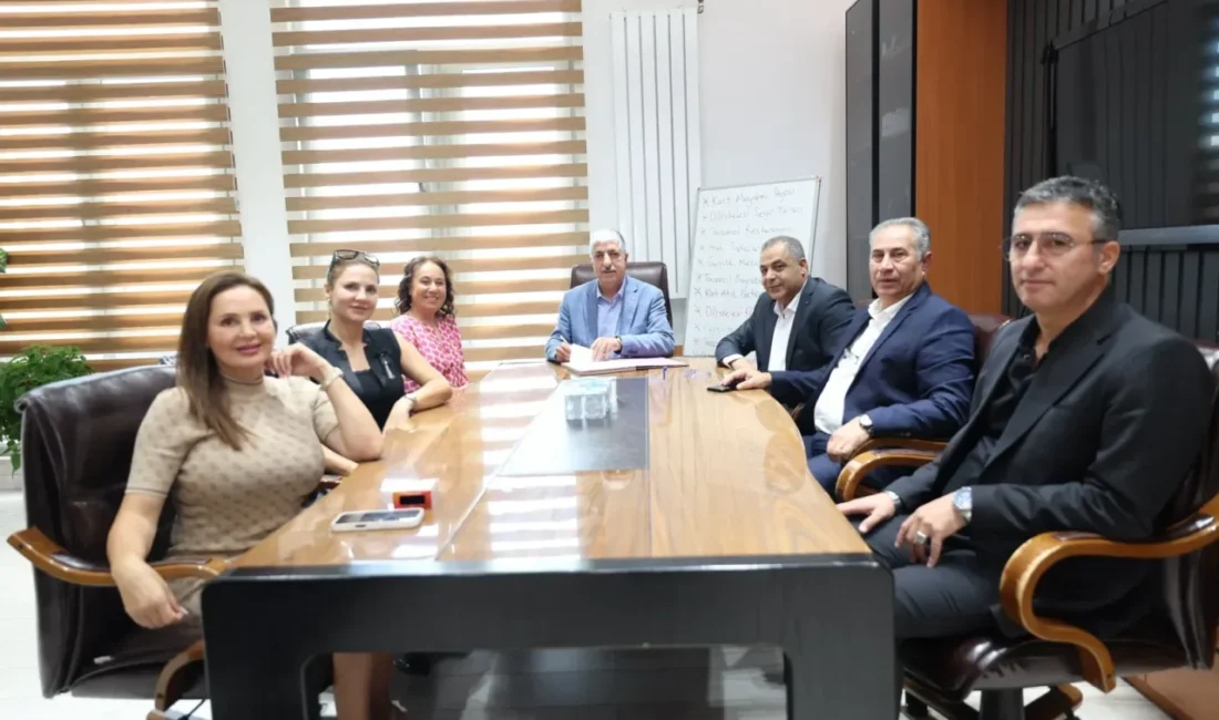 Dilovası Belediyesi ile Kalbimdeki Pati İzleri Derneği arasında, sokak hayvanlarının