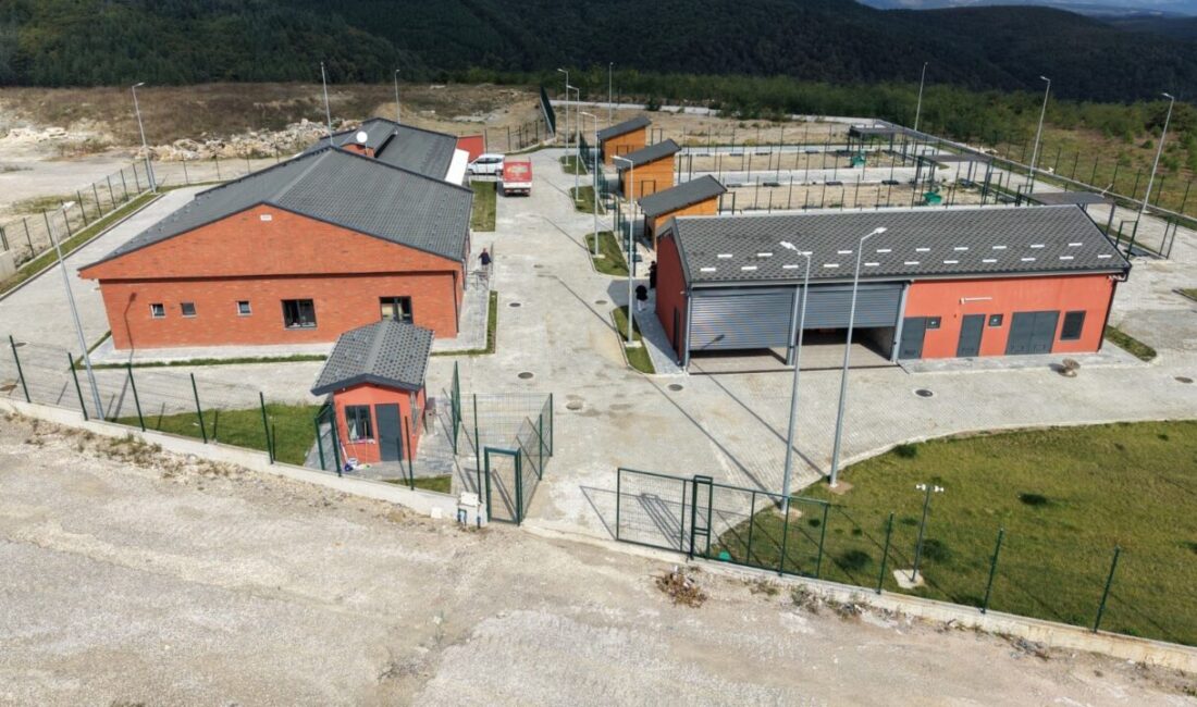 İzmit Belediyesi tarafından sokak hayvanlarının modern ve güvenli koşullarda yaşamlarını