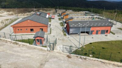 İzmit Belediyesi tarafından sokak hayvanlarının modern ve güvenli koşullarda yaşamlarını